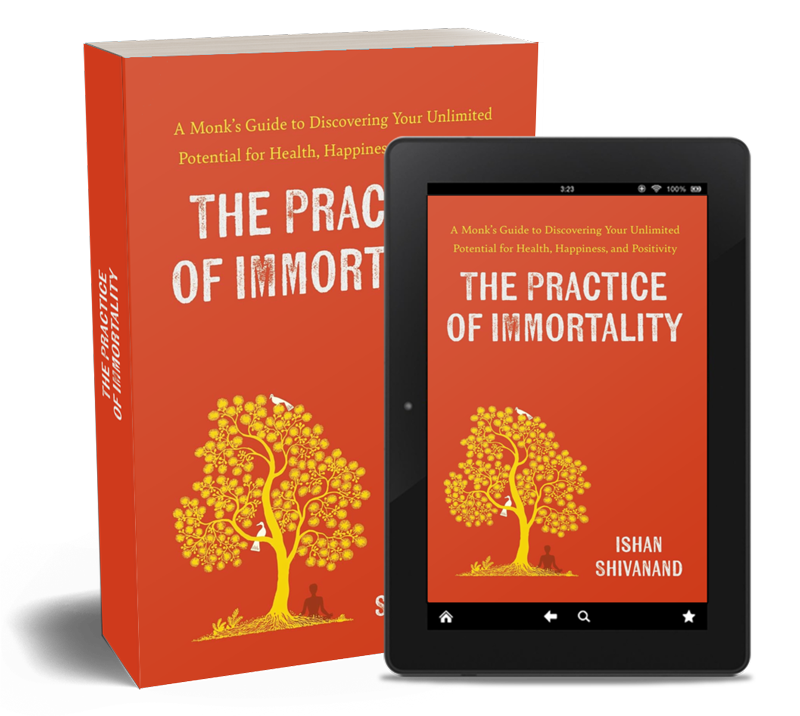 Practice of Immortality Book Cover
